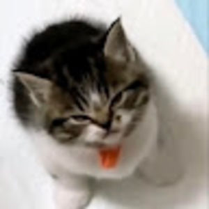 Meet your Posher, Nathan